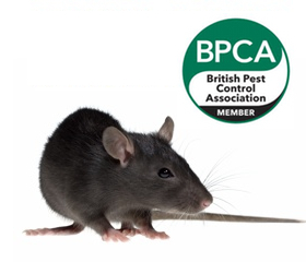 Pestek Pest Control | Pest Control Services | Pest Control Products 