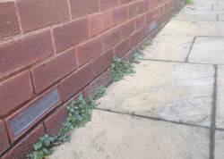 How to fit mesh over air vents to stop mice getting in