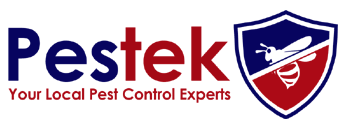 pest control services leeds